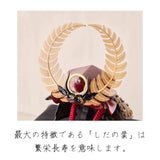 徳川家康 大黒頭巾の兜 1/3スケール