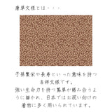 平安道斎 光悦　1/5スケール